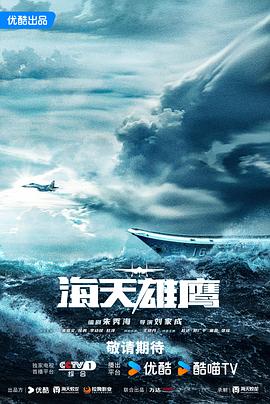 海天雄鹰(全集)