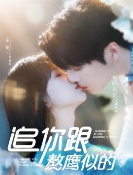 追你跟熬鹰似的(全集)